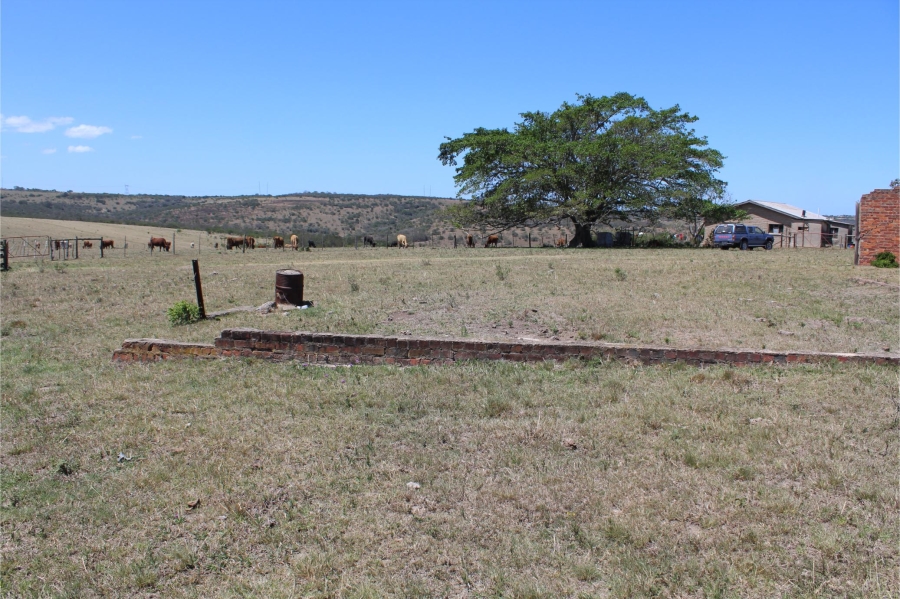 5 Bedroom Property for Sale in Mooiplaas Eastern Cape